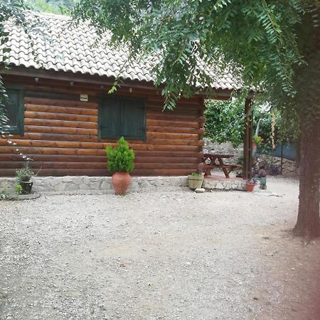 Cabana De Madera La Encina Burunchel Exteriör bild