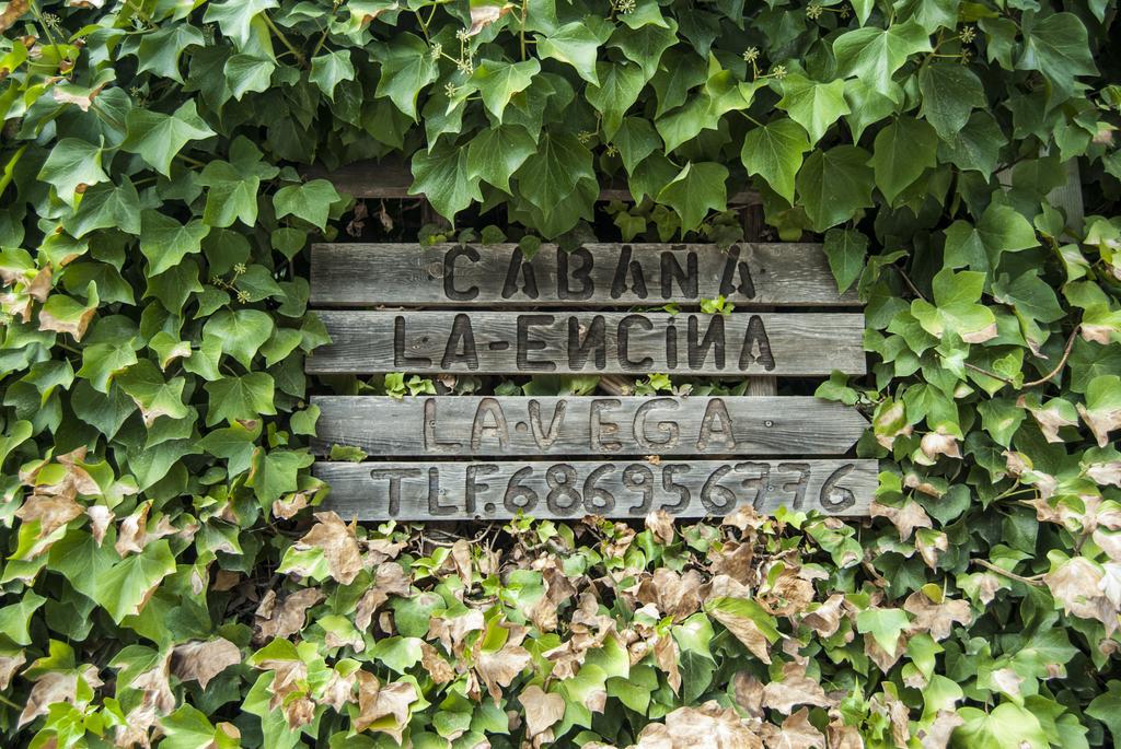Cabana De Madera La Encina Burunchel Exteriör bild